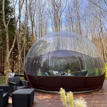 Logement Insolite "Bubble Jungle" Saint-Évarzec Екстериор снимка
