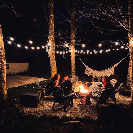 Logement Insolite "Bubble Jungle" Saint-Évarzec Екстериор снимка