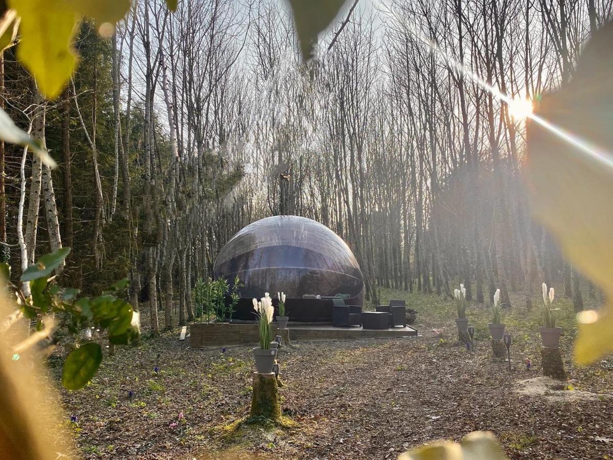 Logement Insolite "Bubble Jungle" Saint-Évarzec Екстериор снимка